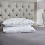 Fresh Start Deluxe 2-Pack Pillow Set with Cool Touch Fabric Queen