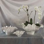 Meteor Bowl-Ivory-Lg - Image 2