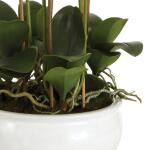 Barclay Butera Phalaenopsis In Ceramic Bowl 30" - Image 2