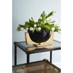 Lander Bowl - Black - Image 3