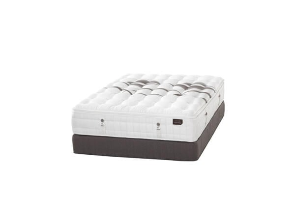 Paseo Plush Plush Aireloom