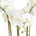 Barclay Butera Phalaenopsis In Ceramic Bowl 30" - Image 3