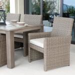 Coronado Dining Chair - Image 2