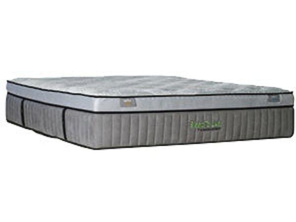 Sleep To Live Mattress California King All Positions
